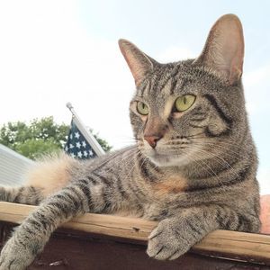 Meet your Posher, Nancy